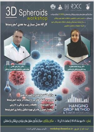 کارگاه تخصصی با عنوان "کارگاه مدلسازی سه‌بعدی اسفروئیدها"