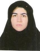 انتخاب دانشجوی پژوهشگر برجسته کشوری مطابق بند ک کمیته کشوری تحقیقات دانشجویی