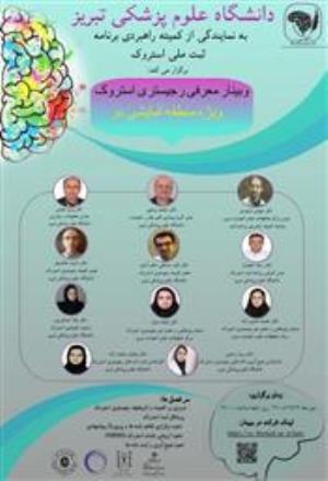 برگزاری وبینار معرفی رجیستری استروک ویژه دبیرخانه های کلان مناطق