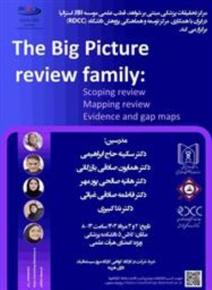 کارگاه The Big Pivture review family: Scoping review - Mapping review - Evidence and gap maps