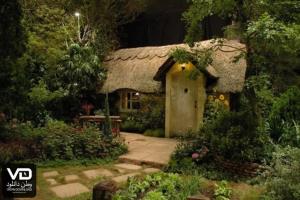 پشت بام های زیبا و دیدنی