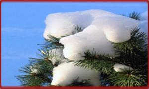 تصاویر زیبای زمستانی