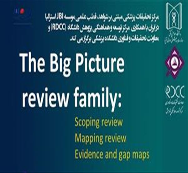کارگاه the big picture review family