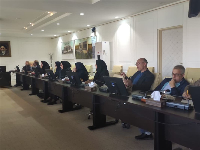 جلسه بررسی مشکلات و دغدغه های برنامه های ثبت بیماری و پیامدهای سلامت دانشگاه برای حمایت از آنها